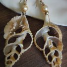 Yellow Gold filled Dangle BIG shell Earrings Genuine Pearl Hawaii Boutique $99