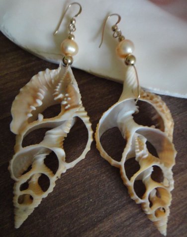 Yellow Gold filled Dangle BIG shell Earrings Genuine Pearl Hawaii Boutique $99
