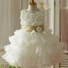 children's tutu baby girl dress wedding party Free Shipping