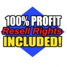 Xbox, Playstation 2, and Gamecube Cheats and Secrets + Resale Rights