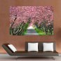 Splendid Cherry Blossom Poster 36x24 inch