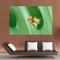 Cute Little Frog Poster 36x24 inch