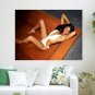 Olivia Munn Poster 24x18 inch
