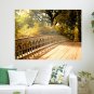 Bridge Tree Trees Light  Poster 24x18 inch