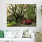 Ferrari Tree Trees Tv Movie Art Poster 24x18 inch