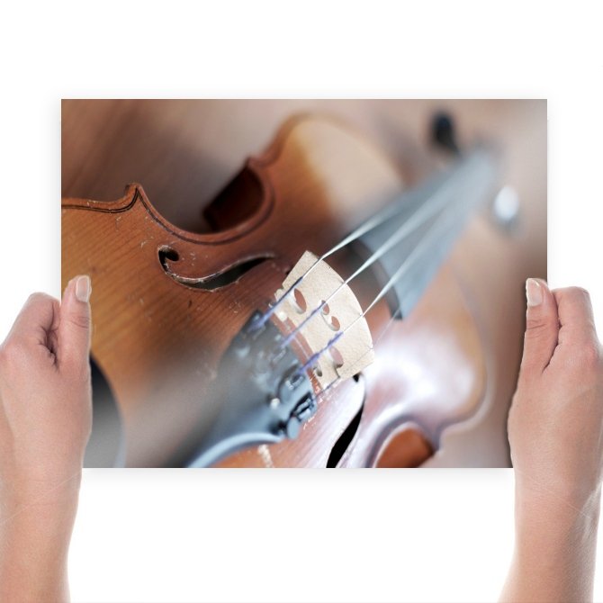 Violin Macro Tv Movie Art Poster 24x18 inch