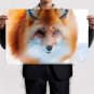 Fox 9 Art Poster Print 36x24 inch
