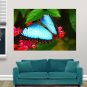Blue Butterfly  Art Poster Print  36x24 inch