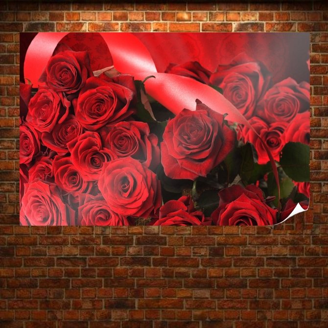 Red Roses  Art Poster Print  36x24 inch