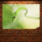Green Snake Hd  Art Poster Print  36x24 inch