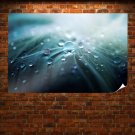 Water On The Feather  Art Poster Print  36x24 inch