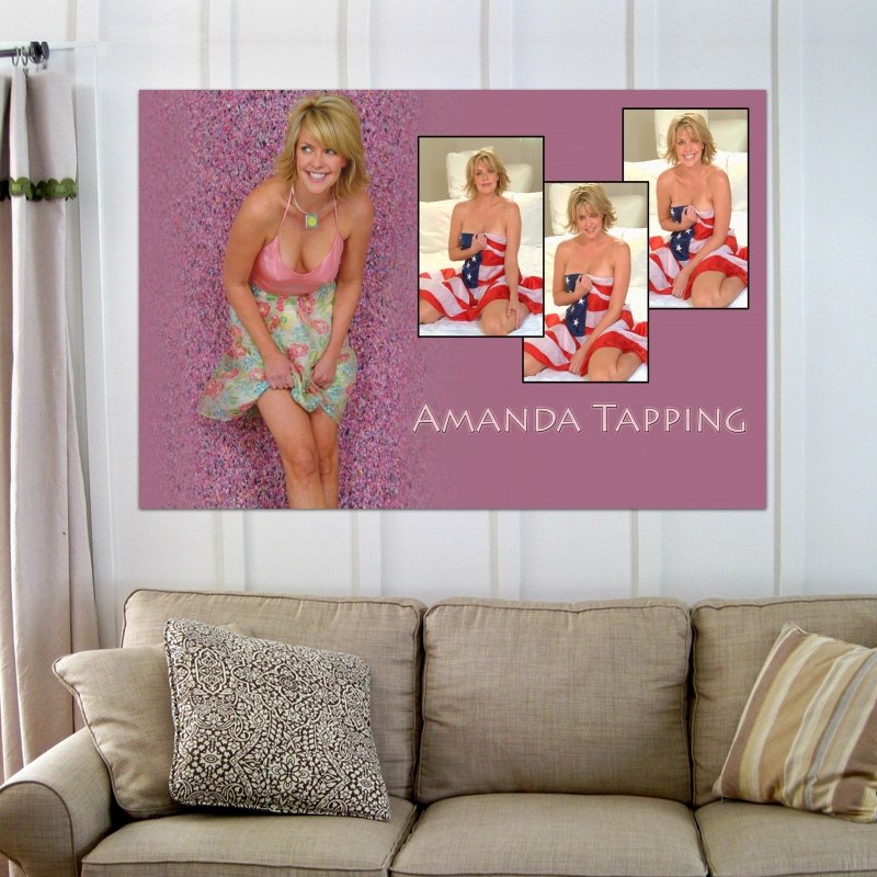 Amanda Tapping Wall 02 Wide  Art Poster Print  36x24 inch