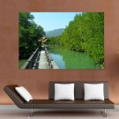Mangrove Swamp  Art Poster Print  36x24 inch