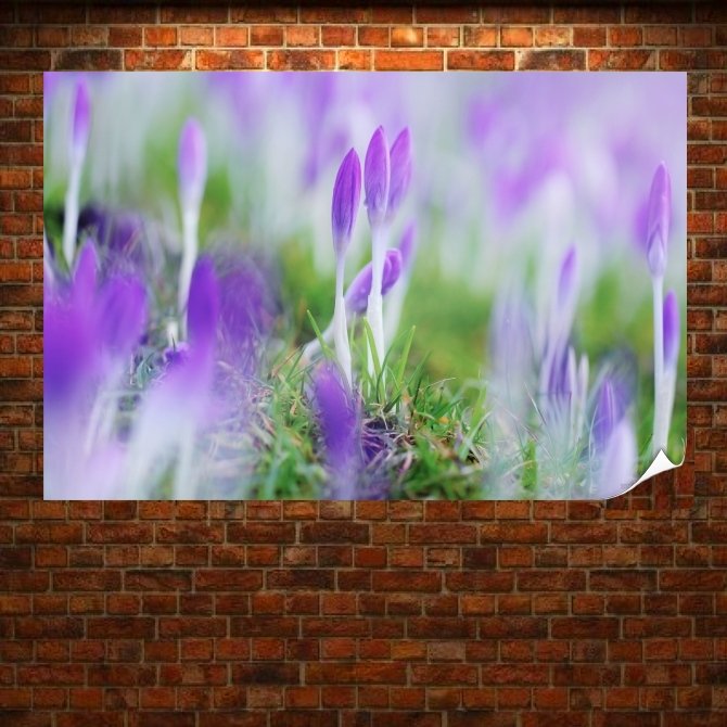 Purple Flowers  Art Poster Print  36x24 inch
