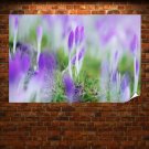 Purple Flowers  Art Poster Print  36x24 inch