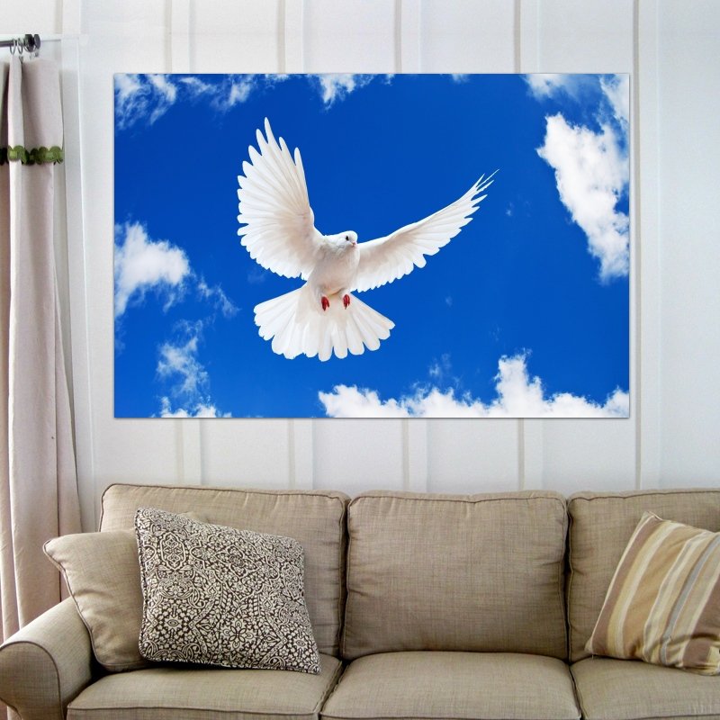 Beautiful White Dove Art Poster Print 36x24 inch