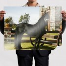 Friesian Stallion  Art Poster Print  32x24 inch