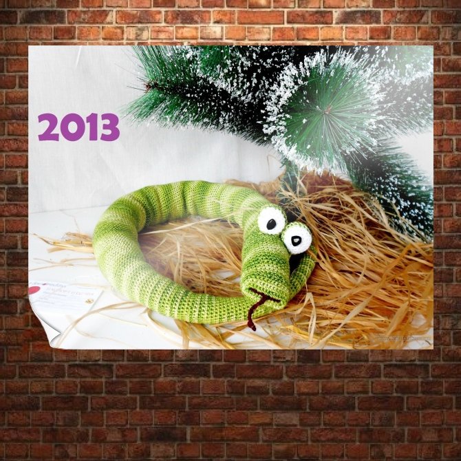 2013 Year Of The Snake  Art Poster Print  32x24 inch