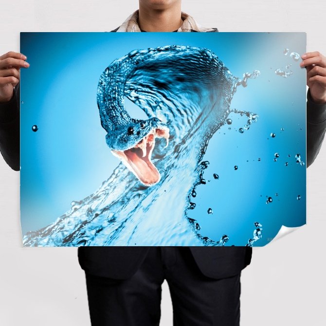 Water Snake Hd  Art Poster Print  32x24 inch