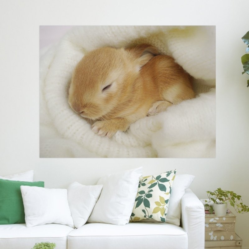 Baby Bunny  Art Poster Print  32x24 inch