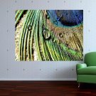 Peacock Feather Macro  Art Poster Print  32x24 inch