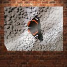 Butterfly On A Wall  Art Poster Print  32x24 inch