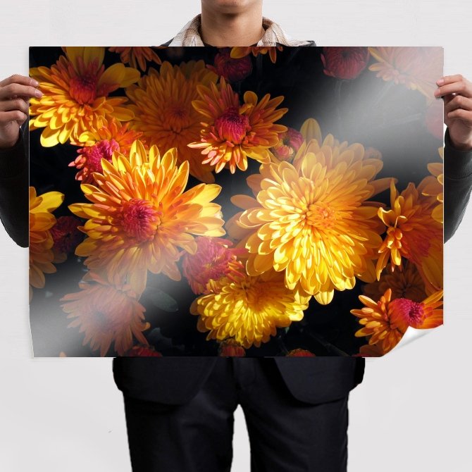 Beautiful Mums  Art Poster Print  32x24 inch