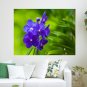Beautiful Orchids Hd  Art Poster Print  24x18 inch