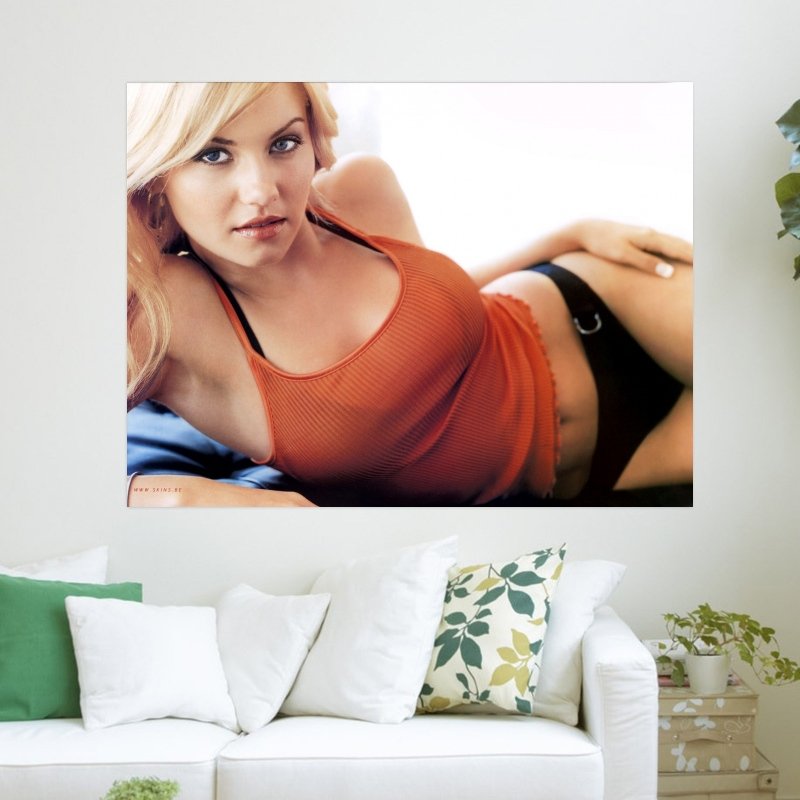 Sexy Elisha Cuthbert Laying On Her Side  Art Poster Print  24x18 inch