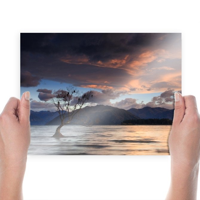 Birds On Tree  Art Poster Print  24x18 inch