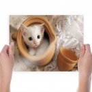 Little Kitty Hd Art Poster Print  24x18 inch