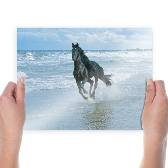 Black Horse And Sea S Art Poster Print  24x18 inch