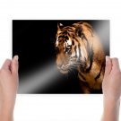 Powerful Tiger  Art Poster Print  24x18 inch