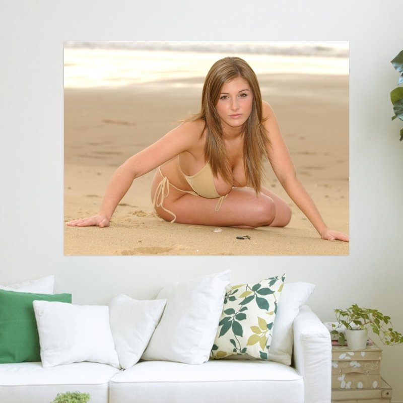 Lucy Pinder In Bikini  Art Poster Print  24x18 inch