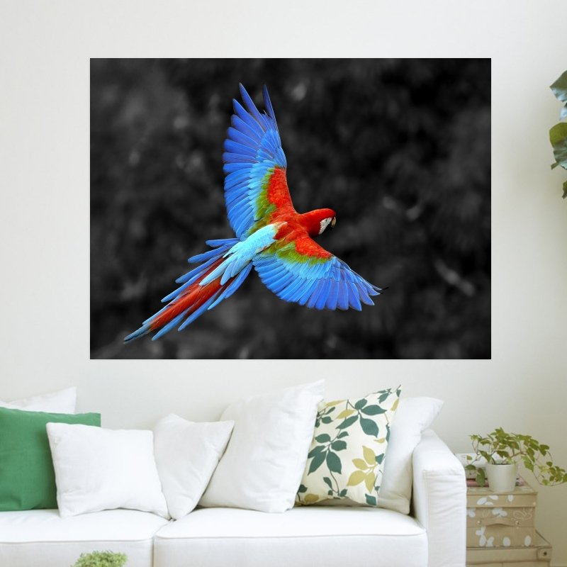 Great Colorful Parrot  Art Poster Print  24x18 inch