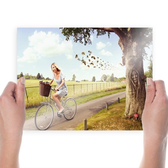 Funny Bees Pursuing  Art Poster Print  24x18 inch