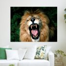 Yawning Lion  Art Poster Print  24x18 inch