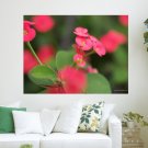 Beautiful Red Flowers Hd Art Poster Print  24x18 inch