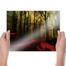 Dawn Forest  Art Poster Print  24x18 inch