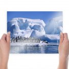 Adelie Penguins Hd  Art Poster Print  24x18 inch