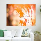 Beautiful Maple Leaves  Art Poster Print  24x18 inch
