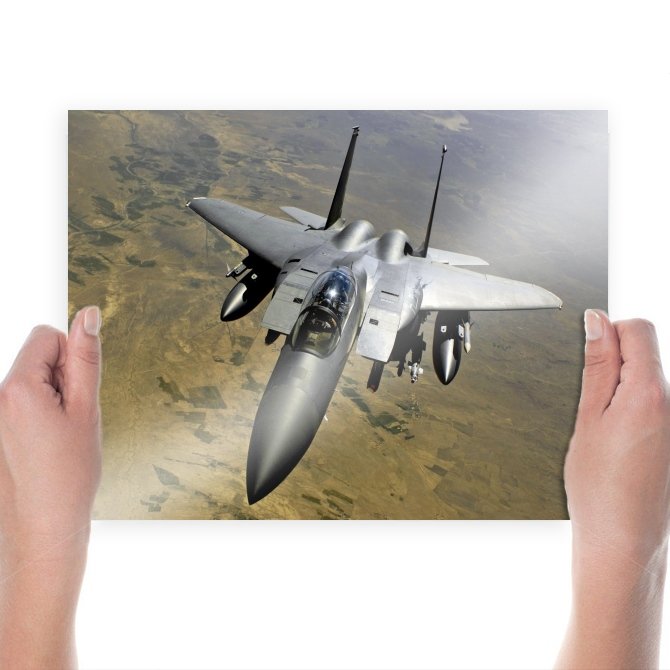 Eagle In Action  Art Poster Print  24x18 inch