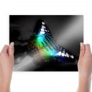 Beautiful Butterfly  Art Poster Print  24x18 inch