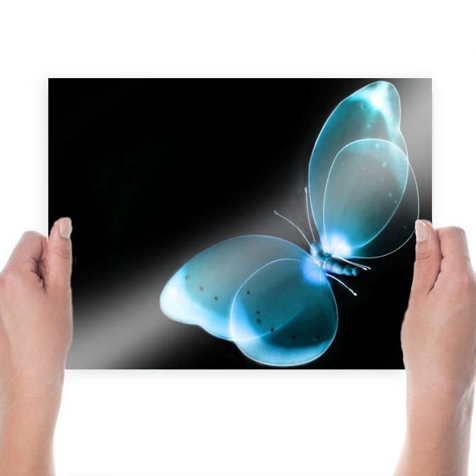 Blue 3d Butterfly  Art Poster Print  24x18 inch