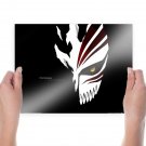 Bleach Hollow  Art Poster Print  24x18 inch