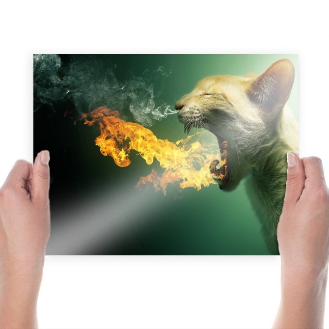 Cat Fire  Art Poster Print  24x18 inch