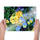 Yellow Flowers  Art Poster Print  24x18 inch
