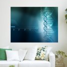 Biologic Chain February 2012 Calendar  Art Poster Print  24x18 inch