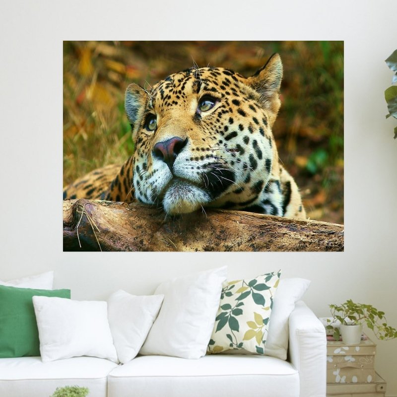 Lonely Tiger  Art Poster Print  24x18 inch