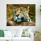Lonely Tiger  Art Poster Print  24x18 inch